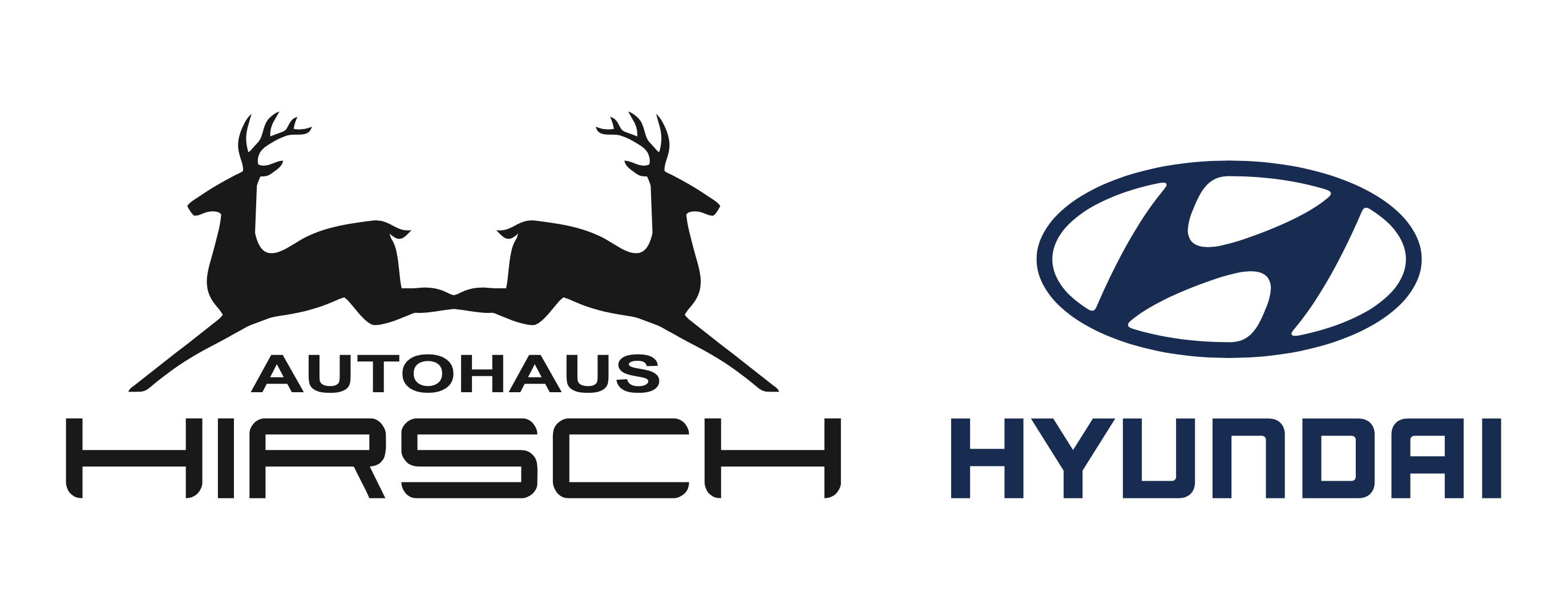 Hyundai Autohaus Hirsch
